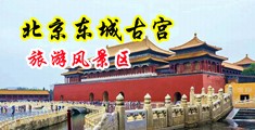 哥哥把我的裙子翻开使劲捅中国北京-东城古宫旅游风景区